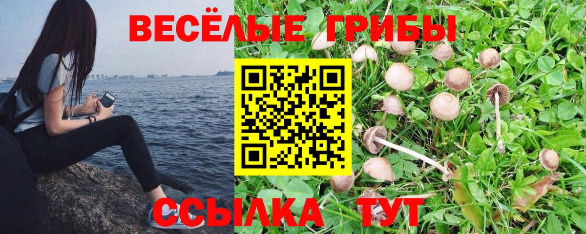 Белебей  Псилоцибиновые грибы прущие грибы  где купить наркотик  Вход с VPN 